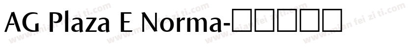 AG Plaza E Norma字体转换